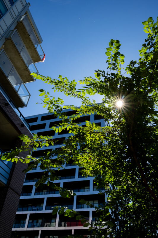 Sunlight flares through the leaves of a tree in front of a modern, multi-story apartment building with balconies under a clear blue sky.