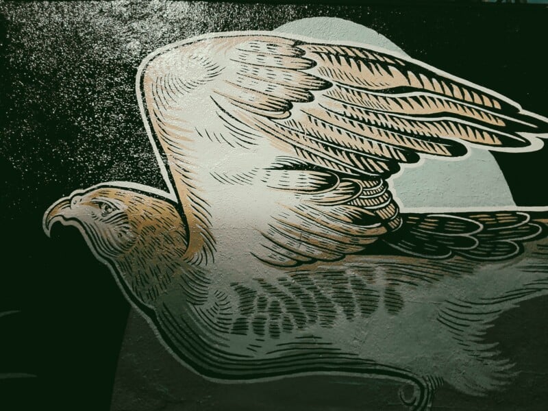 A stylized mural of a bird in flight, rendered in shades of white, gold, and grey against a dark, textured background.