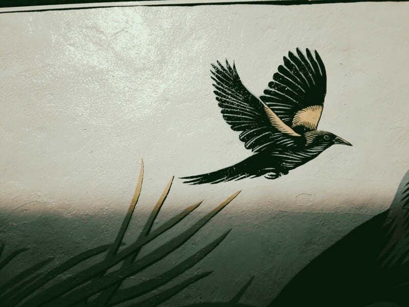 A mural of a black bird with a tan wing patch flying over stylized green grass against a light background.