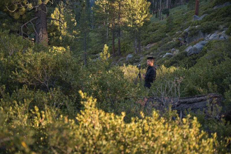 A man stands in a sunlit forest clearing, adjusting a camera mounted on a tripod amidst dense green bushes.