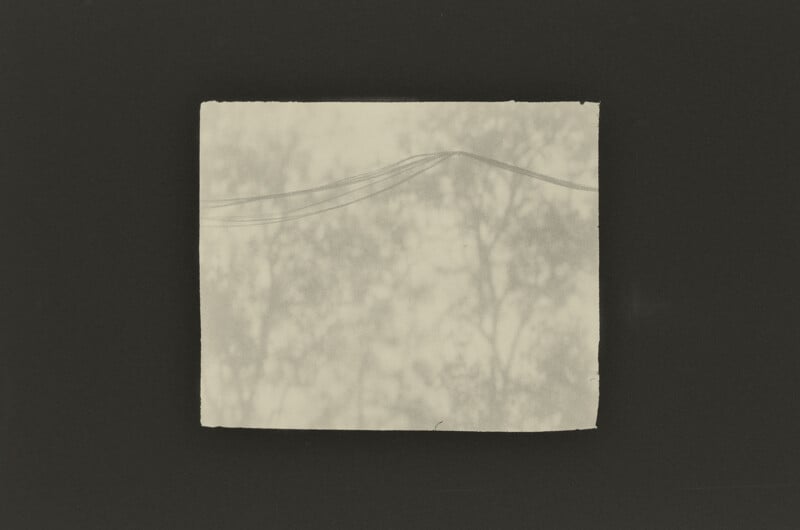 A rectangular, light-colored print with rough edges is centered against a dark background, showing faint, blurry silhouettes of tree branches and thin, horizontal power lines.