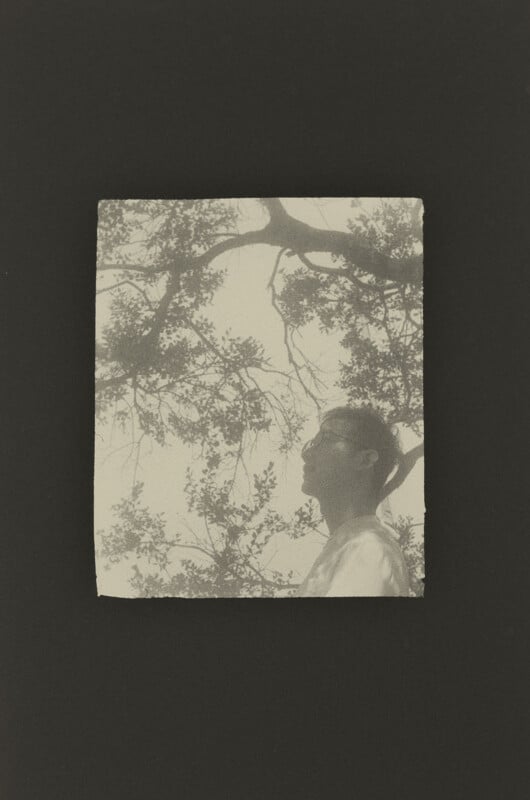 A person in glasses looks upward against a background of silhouetted tree branches, presented as a textured print on a dark surface.