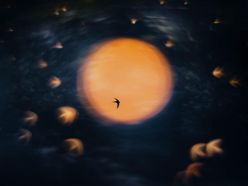 A silhouette of a small bird flies across a large, out-of-focus orange moon surrounded by dark, bokeh-blurred lights.