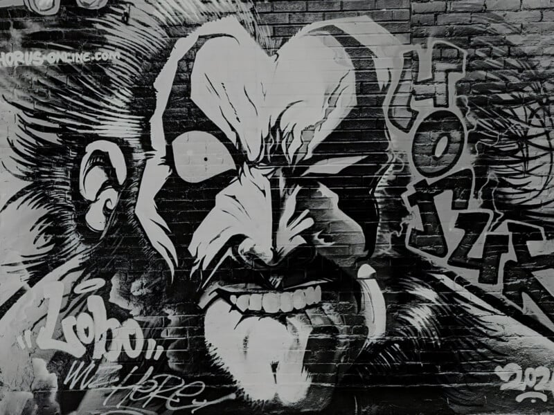 A black and white mural on a brick wall depicts the face of the comic book character Lobo, with graffiti text reading "HORUS-ONLINE.COM" and "Lobo, WE HERE".