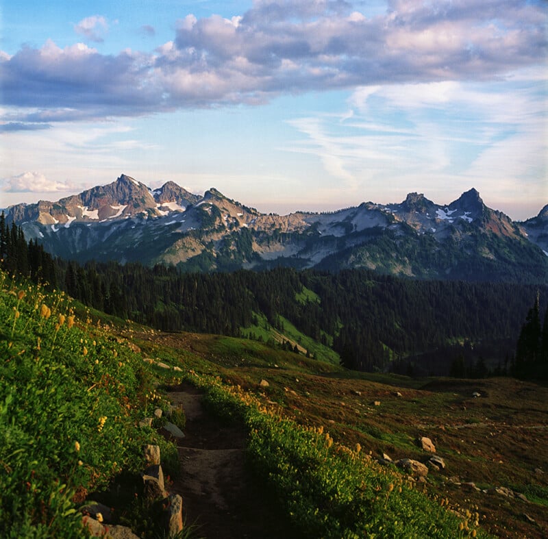 A dirt hiking trail winds through a lush, green meadow toward a jagged mountain range under a blue sky with scattered clouds.