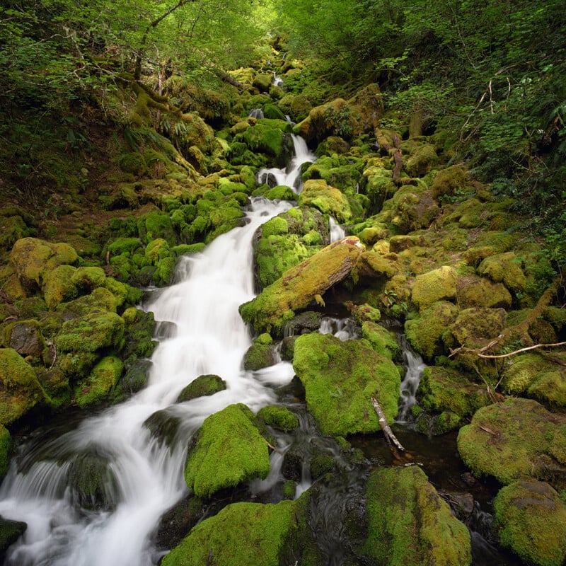 A cascading stream flows over moss-covered rocks in a lush, green forest.