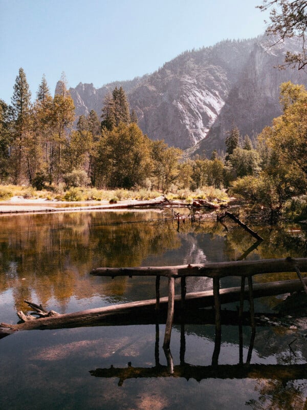 A calm river reflects a towering, rocky mountain and surrounding trees, with fallen logs resting in the foreground water.