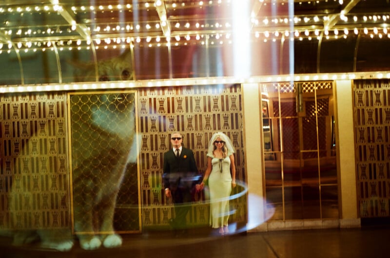 A man in a suit and a woman in a wedding dress and veil stand before a patterned wall, with a large, ghostly reflection of a cat superimposed over the scene.
