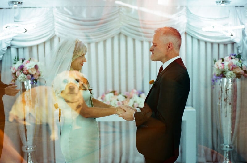 A bride and groom hold hands during a wedding ceremony, with a double-exposure effect showing a dog's face superimposed over the bride.