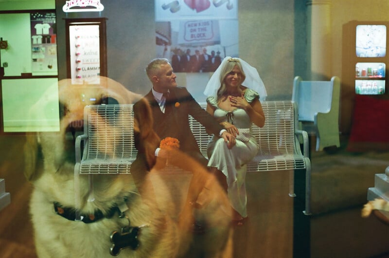 A bride and groom sit on a white metal bench, viewed through a window with a large, ghostly reflection of a dog in the foreground.