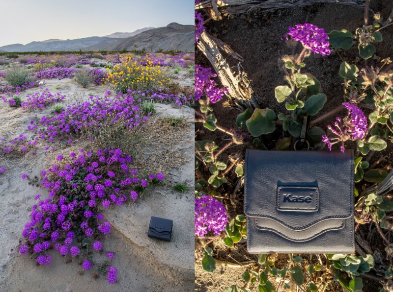 A split-view image shows a desert landscape with purple and yellow wildflowers on the left, and a close-up of a Kase-branded carrying case nestled among purple flowers on the right.