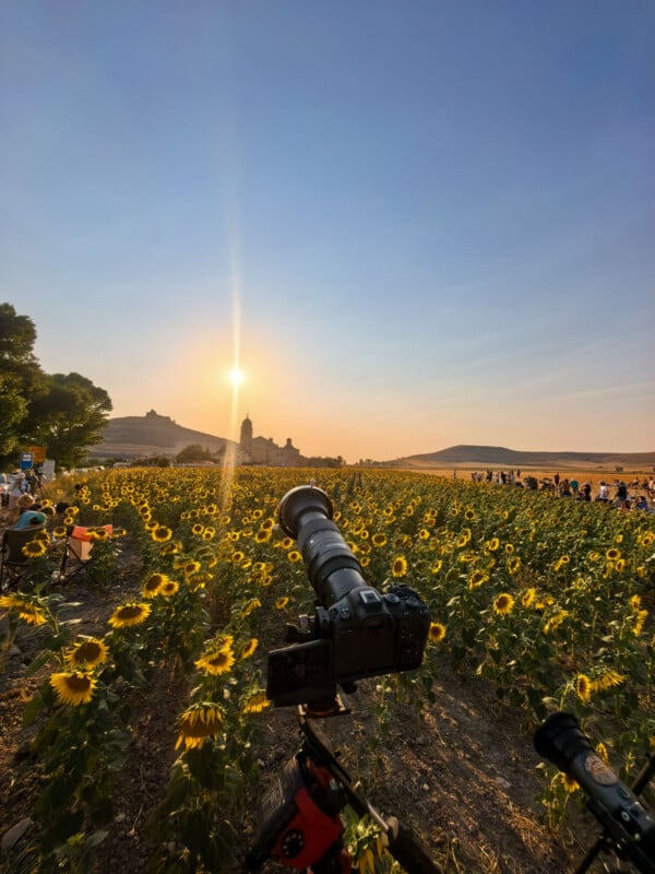 A camera on a tripod faces a large field of sunflowers toward a distant church and hills under a bright, setting sun.