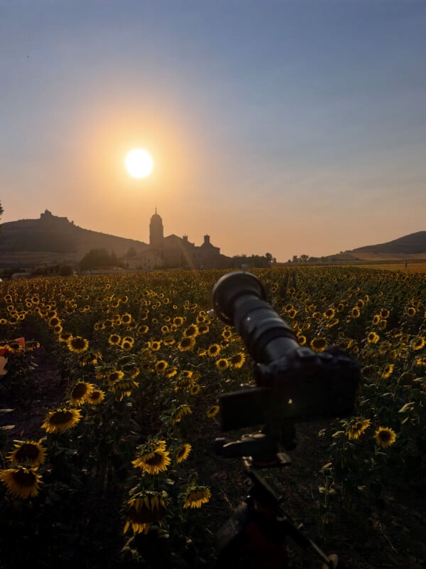 A camera on a tripod faces a vast field of sunflowers under a sunset sky, with a distant church and hills in the background.