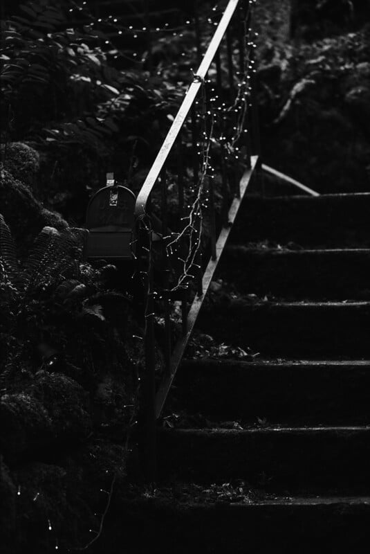 A black and white view of stone stairs with a metal railing wrapped in string lights next to a U.S. Mail mailbox.