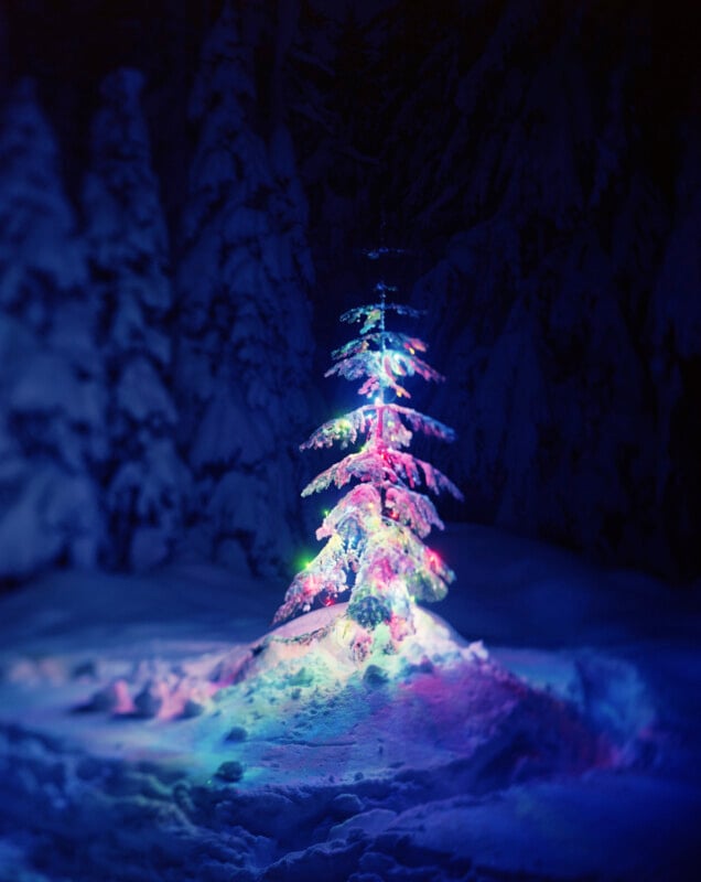A small, snow-covered evergreen tree decorated with glowing, multicolored string lights stands in a dark, snowy forest.
