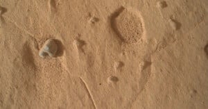 A close-up view of a dusty, orange-toned Martian surface featuring scattered small rocks, shallow depressions, and faint linear tracks.