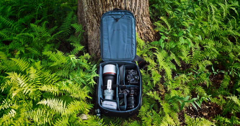 An open camera backpack sits against a tree trunk in a forest, filled with camera equipment including a large telephoto lens.