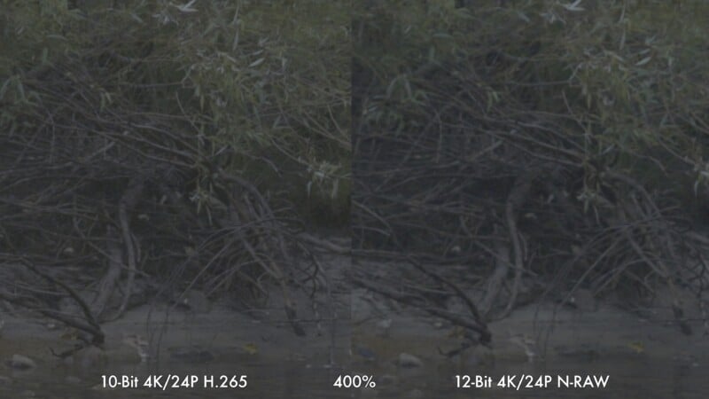 A side-by-side comparison of a low-contrast, desaturated landscape scene at 400% zoom, labeled 10-Bit 4K/24P H.265 on the left and 12-Bit 4K/24P N-RAW on the right.