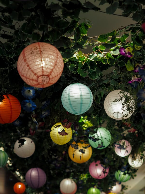 A collection of colorful, glowing paper lanterns hangs from a ceiling covered in lush green foliage and blue flowers.