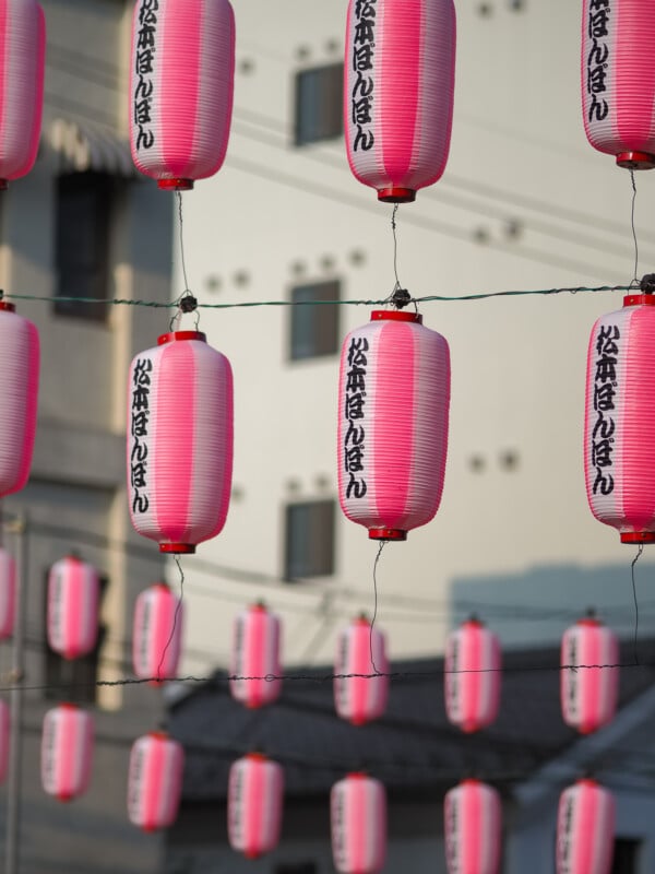 Rows of pink and white paper lanterns with Japanese text hang from wires against a blurred building background.