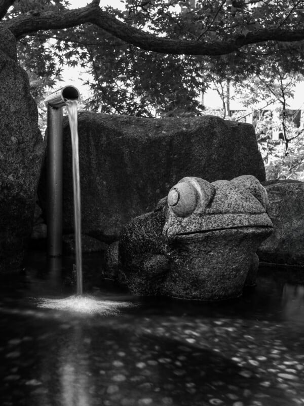 A stone frog statue sits in a shallow pond next to a metal pipe pouring a steady stream of water.