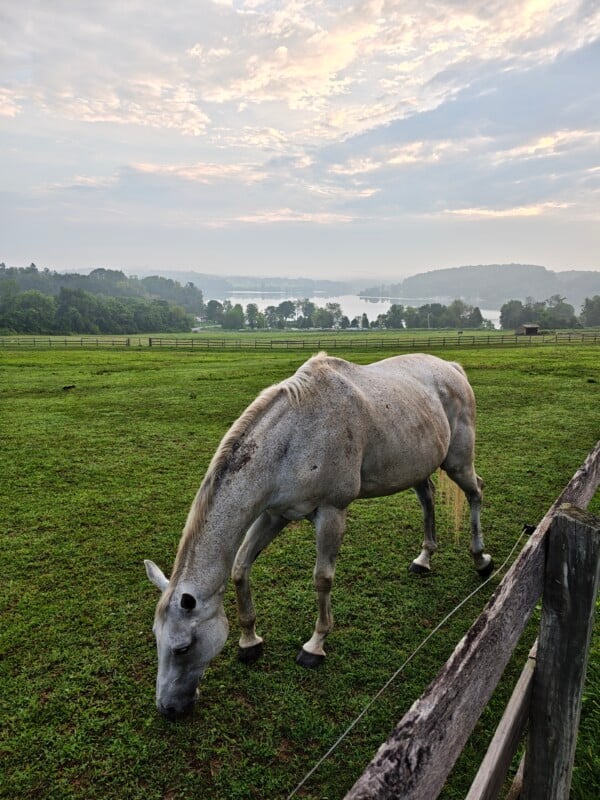 A white horse grazes in a green pasture with a lake and rolling hills in the background under a cloudy sky.