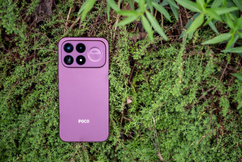 A purple smartphone with a multi-lens camera module and "POCO" branding rests on a bed of green foliage.