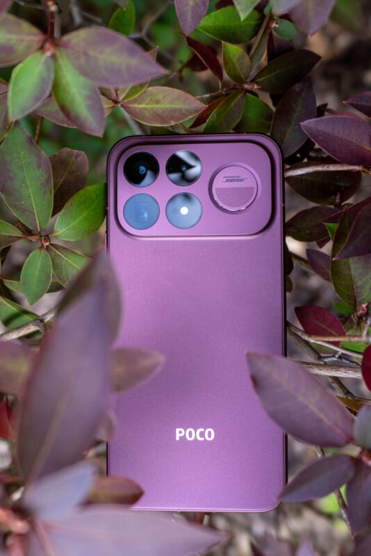 A purple smartphone with a quad-camera array and a "Sound by Bose" speaker grille on the back, nestled among green and purple leaves.