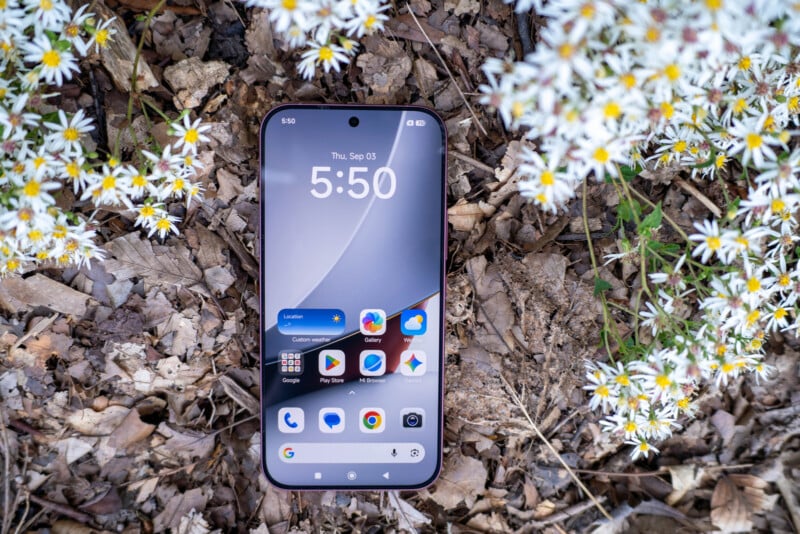 A smartphone with a digital clock and app icons on its screen rests on a bed of dry leaves surrounded by white wildflowers.