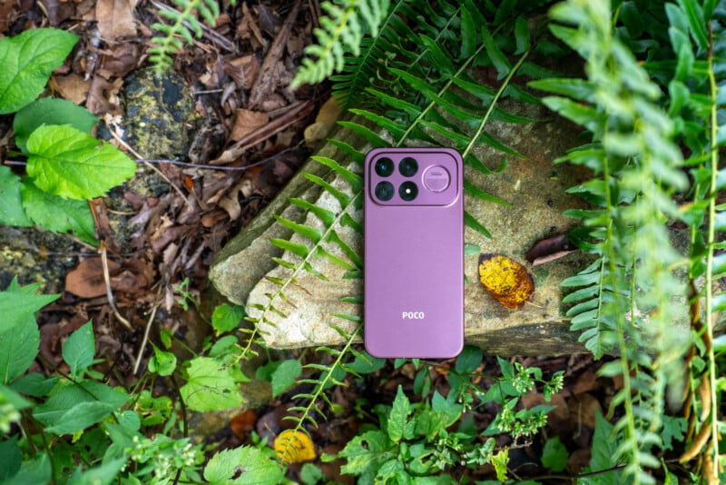 A purple smartphone with a multi-lens camera module rests on a mossy rock surrounded by green ferns and fallen leaves.