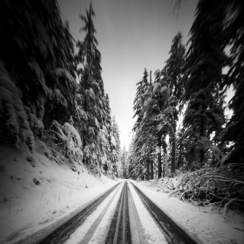 A snow-covered road stretches into the distance, flanked by tall, snow-laden evergreen trees under a bright, overcast sky.