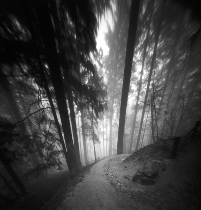 A black and white, wide-angle view of a dirt path winding through a dense, foggy forest with tall, blurred trees.