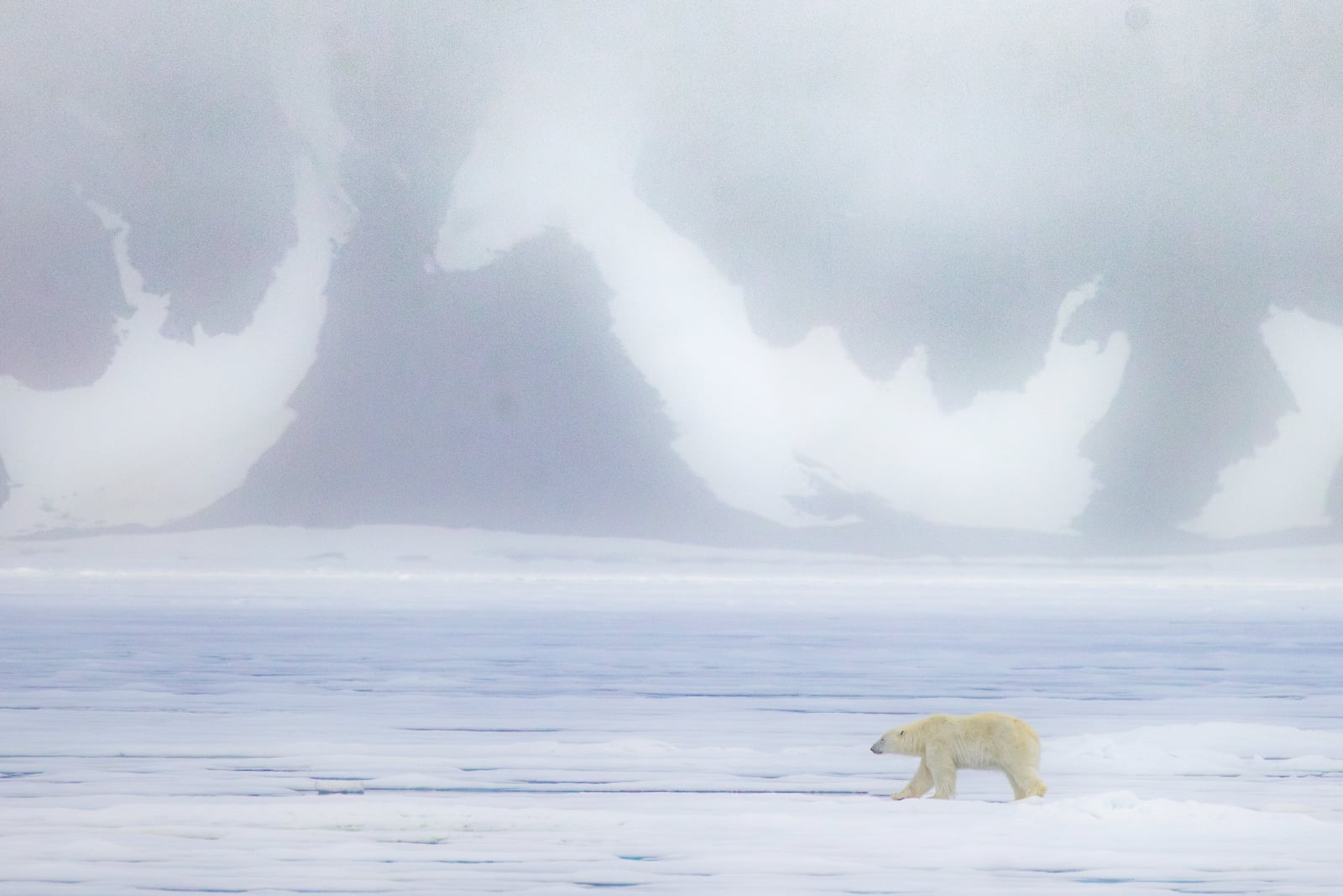 A polar bear walks across a vast, flat expanse of white ice against a backdrop of misty, snow-covered mountains.