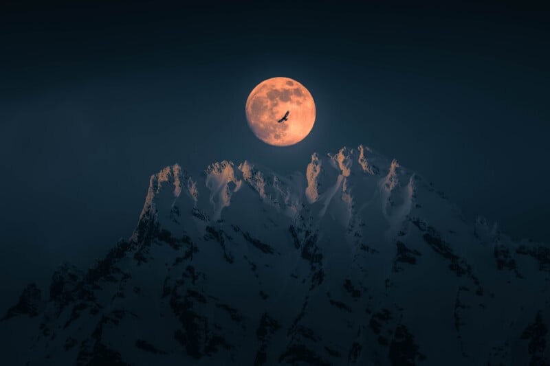 A bird flies in front of a large, orange full moon positioned above snow-covered mountain peaks against a dark sky.
