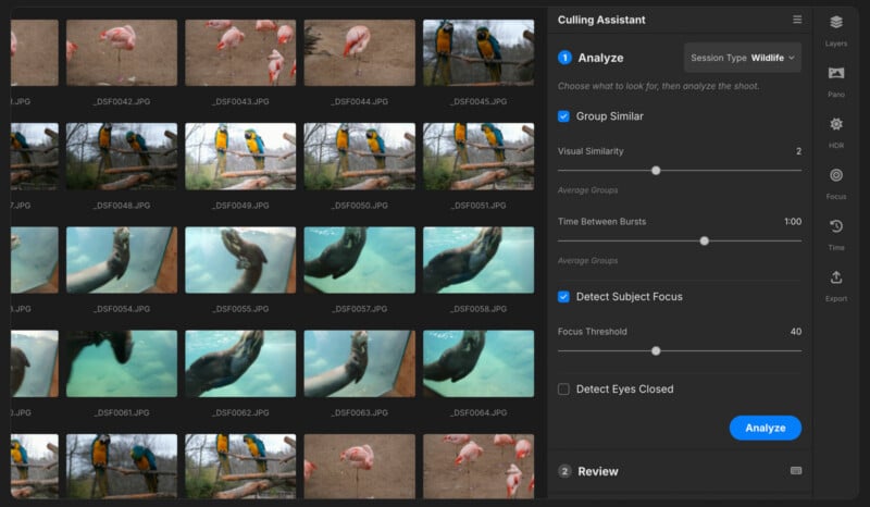 A photo editing software interface displays a grid of wildlife thumbnails alongside a Culling Assistant panel with settings for grouping similar images and detecting subject focus.