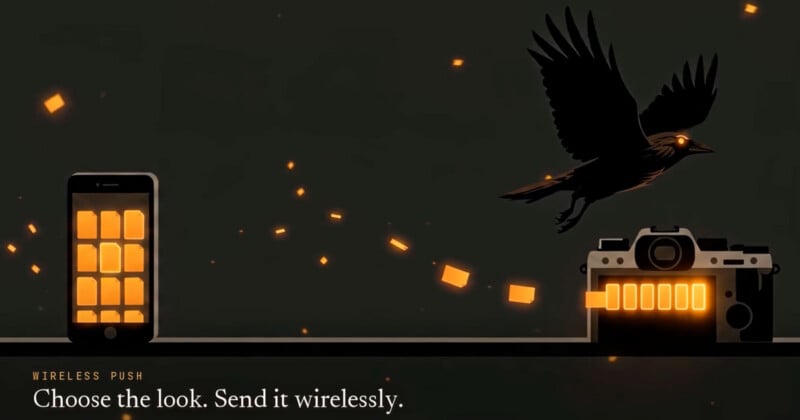 A smartphone displaying a grid of orange file icons sits next to a camera, with glowing orange icons floating between them and a black bird flying above.