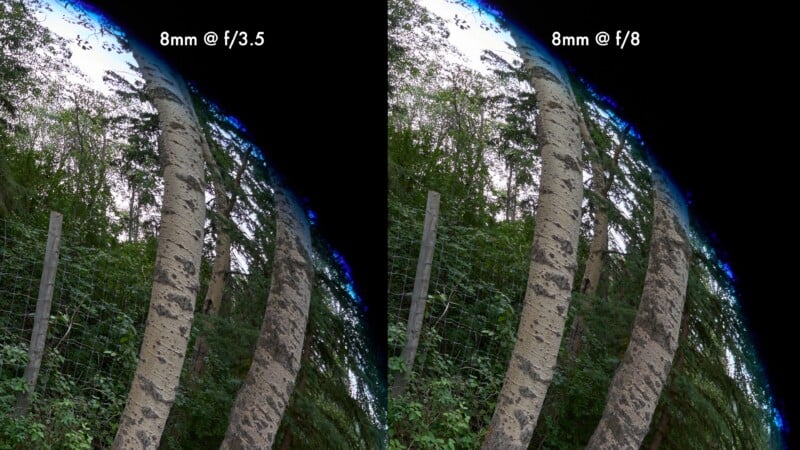 A side-by-side comparison of two fisheye lens shots of trees, labeled 8mm @ f/3.5 and 8mm @ f/8, showing identical framing.