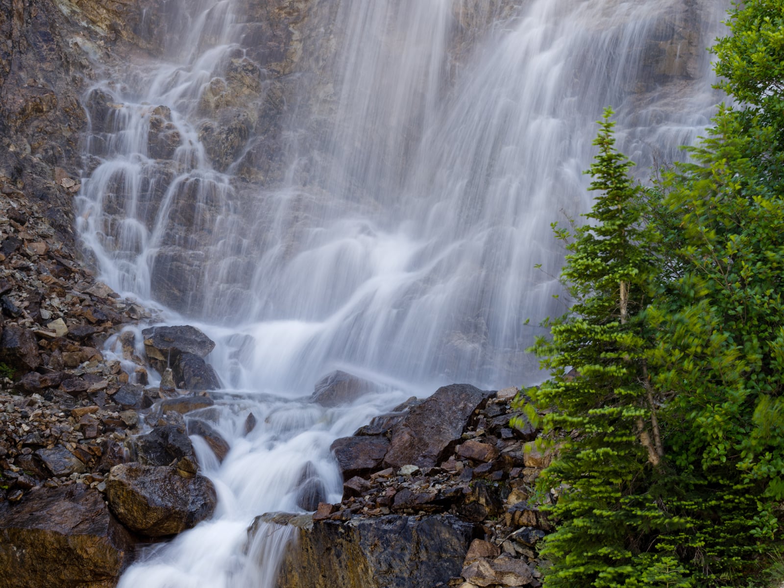A waterfall cascades over rocky terrain next to a small evergreen tree.