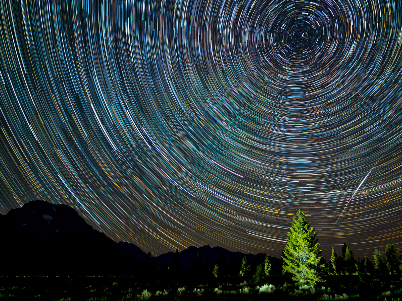 A long-exposure night sky photograph shows circular star trails rotating around the North Star above a dark mountain silhouette and a single illuminated tree.