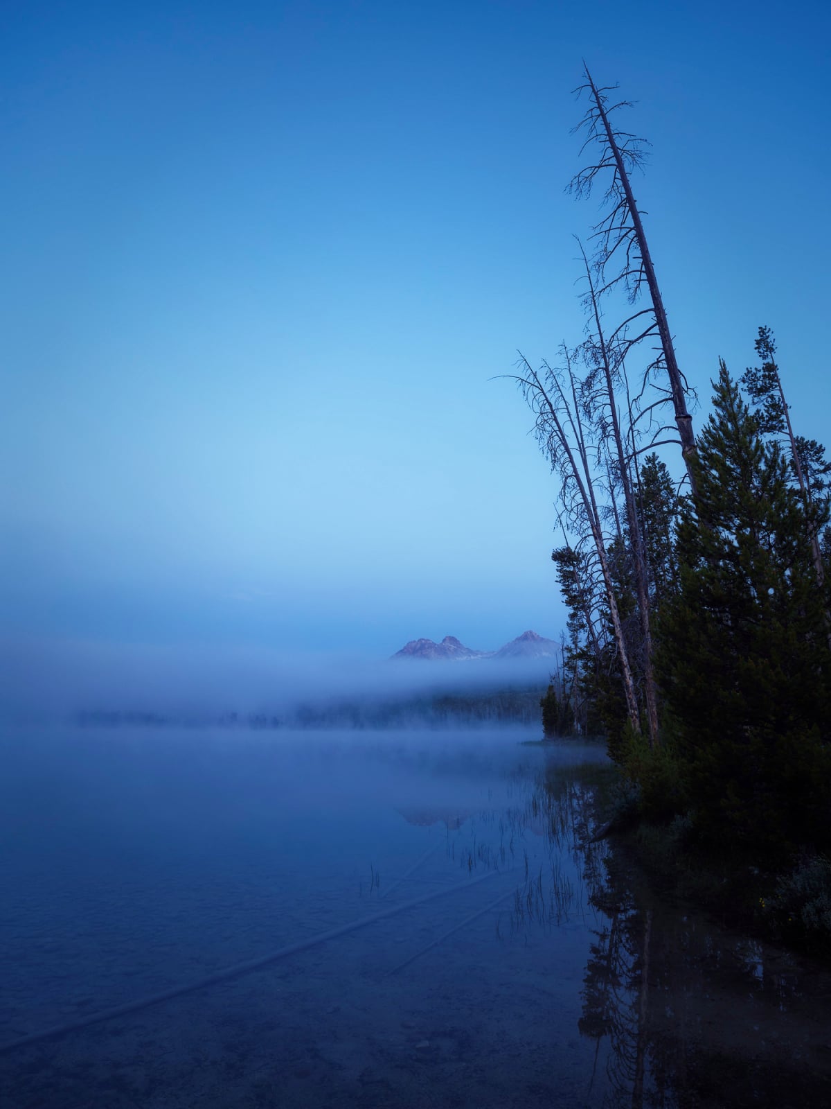 A calm lake reflects a misty mountain range at dawn, with tall, thin trees standing along the shoreline.