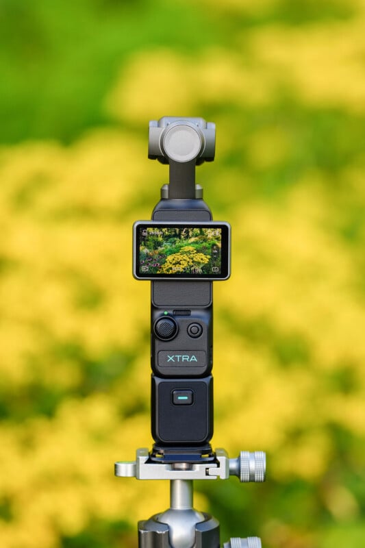 A handheld gimbal camera with a digital screen displaying a garden scene is mounted on a tripod against a blurred yellow and green background.