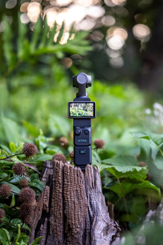 A handheld gimbal camera with a small screen and the word "XTRA" printed on its body stands upright on a weathered tree stump surrounded by green foliage.