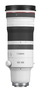 RF 100-300mm f/2.8 L IS USM