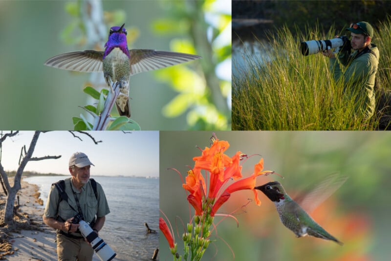 A collage shows two photographers with long-lens cameras and two close-up shots of hummingbirds, one perched and one feeding on a flower.