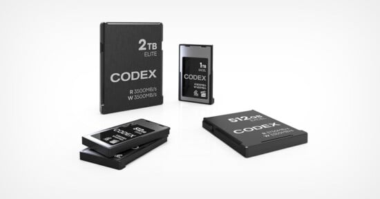 Four Codex storage media cards of varying sizes and capacities are arranged on a white surface, including a 2TB Elite card and three 512GB or 1TB Excel cards.