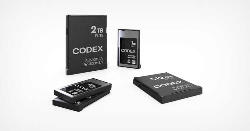 Four Codex storage media cards of varying sizes and capacities are arranged on a white surface, including a 2TB Elite card and three 512GB or 1TB Excel cards.