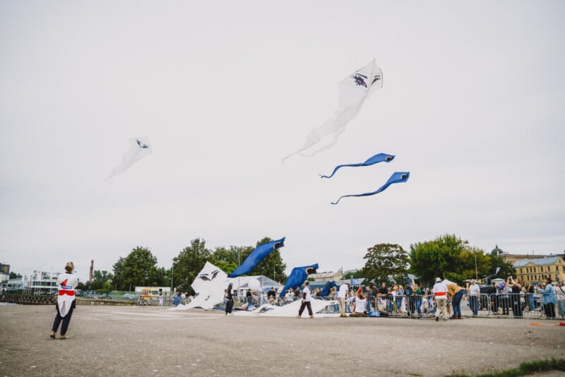 People stand on a paved area watching several large, eye-patterned kites flying in the sky during an outdoor event.