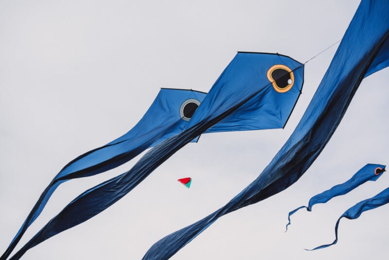 Several blue, fish-shaped kites with large circular eyes and long, flowing tails fly against a pale sky, accompanied by a small red and green kite.