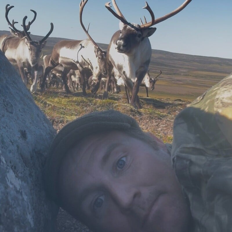 A man wearing a cap lies on the ground behind a rock, looking toward the camera while a herd of reindeer approaches in the background.