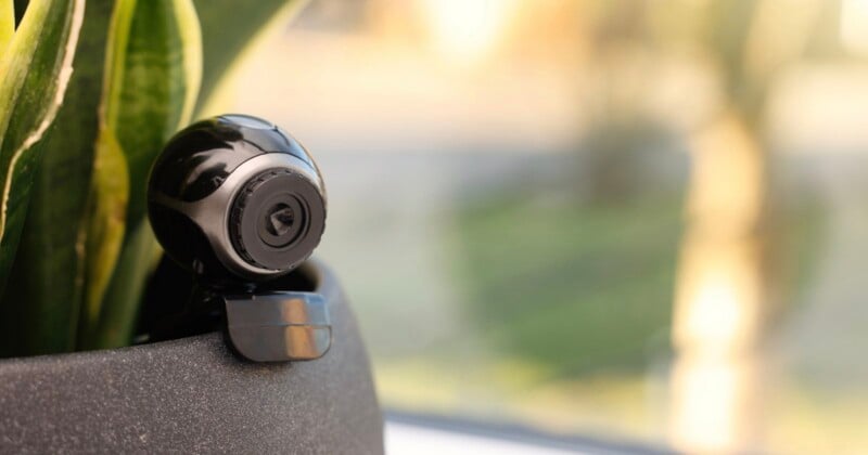 A small, black spherical webcam sits perched on the rim of a dark gray planter next to a green snake plant.